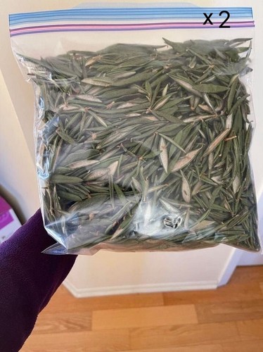 Labrador tea all - tea,, from
