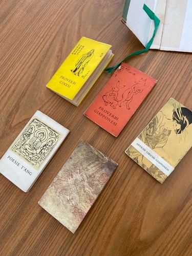 Libri orientali miniatura - libri,