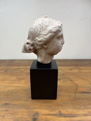 Vintage freud museum londra - museum,