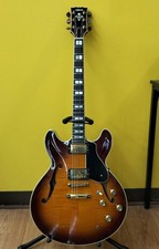 Chitarra elettrica