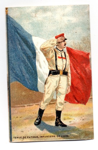 Chromos chicorée teka - chicorée,