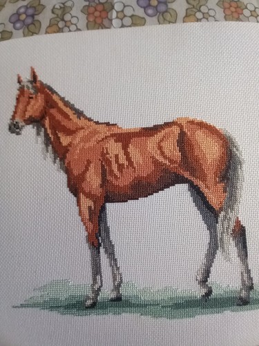 Quadro fatto punto croce - punto,