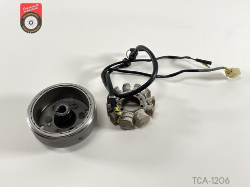 Rotore statore alternatore