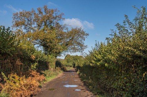 Photo 6x4 track langley - photo,