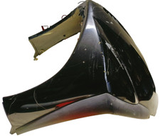 Carena Scudo anteriore