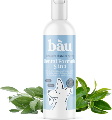 Bau dental formula 1 - formula, in