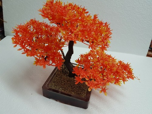 Bonsai materiale plastico - in,