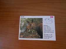 FIGURINA COLLEZIONE SCHEDE