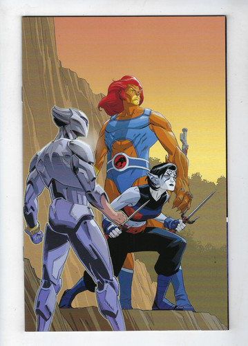 Thundercats silverhawks - thundercats, x