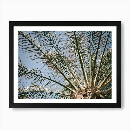 Palma ibiza natura e viaggi - palma,