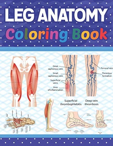Leg anatomy coloring book - leg,