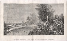 Una villa nella Conca d'Oro