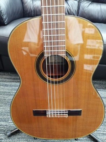 Takamine 310 chitarra - takamine, no.310