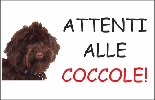 Cartello segnaletico lagotto - cartello,