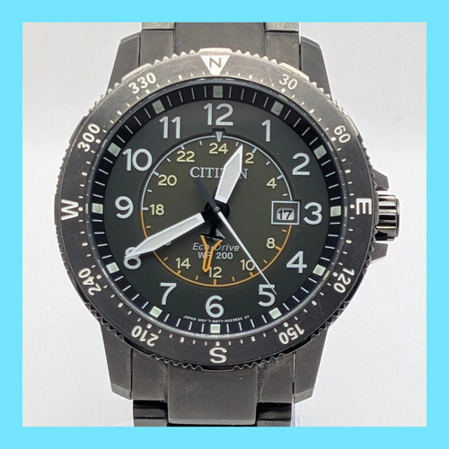 Citizen promaster land - promaster,
