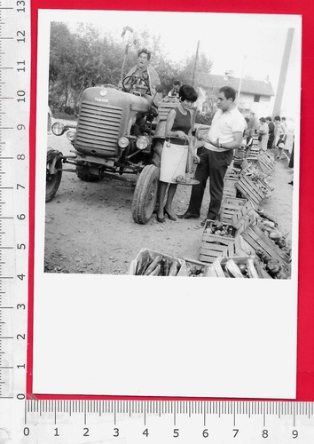 Trattore steyr 1966 - steyr,