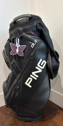 Ping dlx borsa - borsa, 15