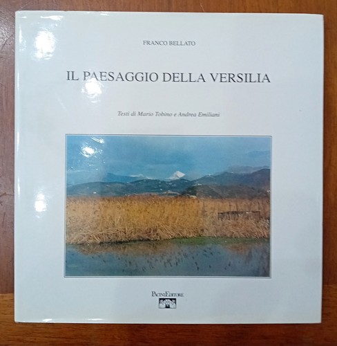 Paesaggio della versilia - della,