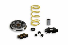 MALOSSI VARIATORE MULTIVAR