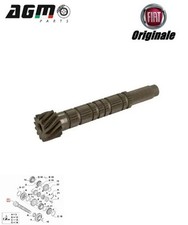 ALBERO SECONDARIO 13 DENTI