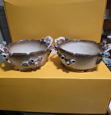 Mollica capodimonte - capodimonte, 2