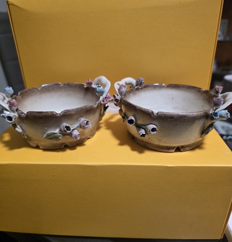 Mollica capodimonte - mollica, 2