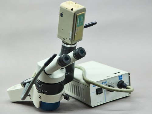 Wild heerbrugg microscope - wild,
