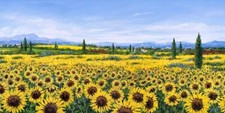 Quadro Campo Girasoli
