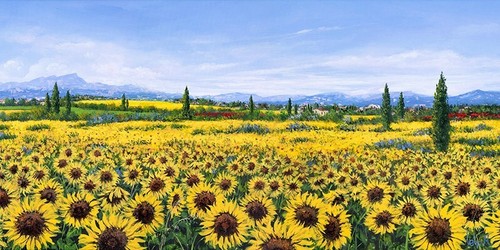 Quadro campo girasoli - quadro,