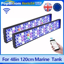 Popbloom h54 wifi led - 2x,