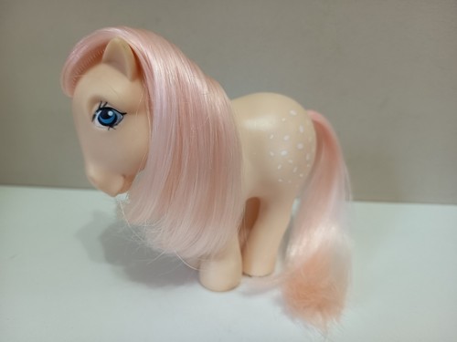 Palomino cotton candy italy - g1,