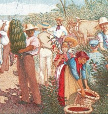 Costa Rica 5 Colones P-236 UNC