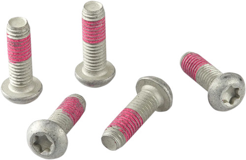 Set viti disco - freno, argento