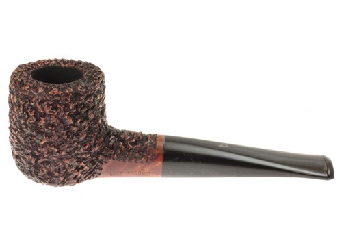 Pipa bltp1958 rusticata - -,