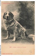 AOAP7-0544-ANIMALI - Viscos -