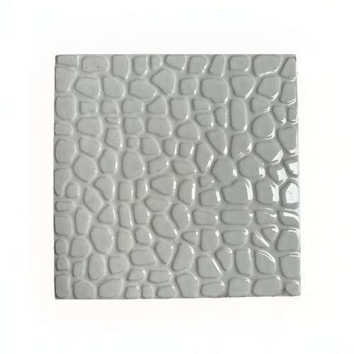 Piastrella bicottura 20x20 - piastrella,