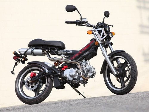 Download sachs madass - download,