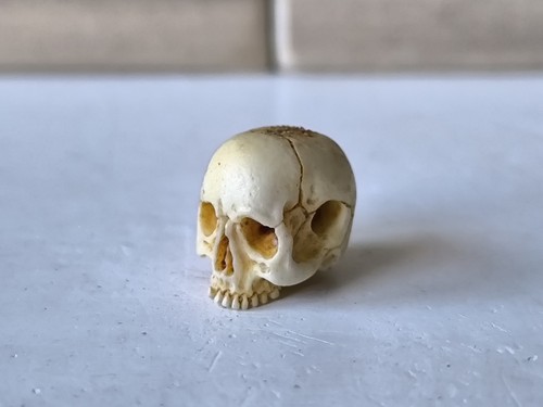 Memento mori vanitas skull - memento,