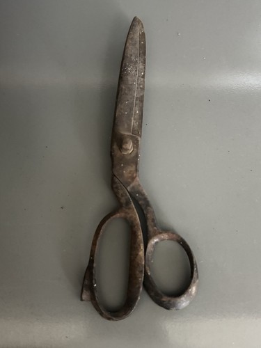 Antiche forbici sarto in - da,