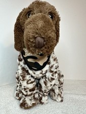 Puntatore tedesco pelo corto