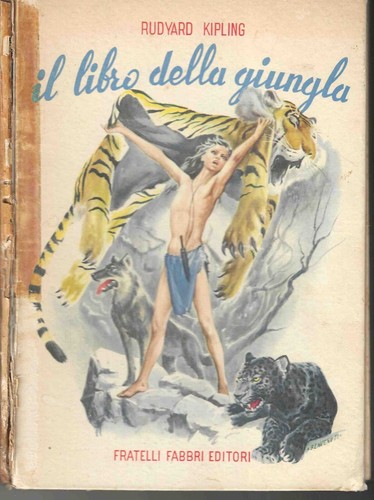 Splendido libro per ragazzi - splendido,