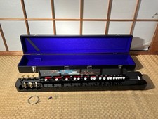 Arpa Nagoya Taisho Koto