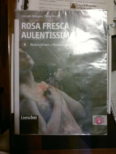 Rosa fresca aulentissima - rosa,