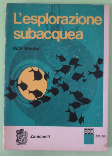 Ruth brindze l esplorazione - -, l'esplorazione