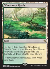 MTG WINDSWEPT HEATH ITALIAN