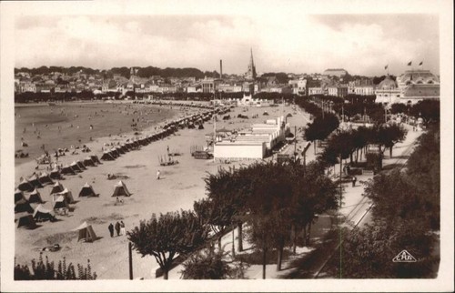 Royan conche - 17,