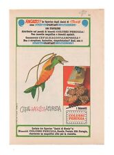 PUBBLICITÀ ADVERTISING