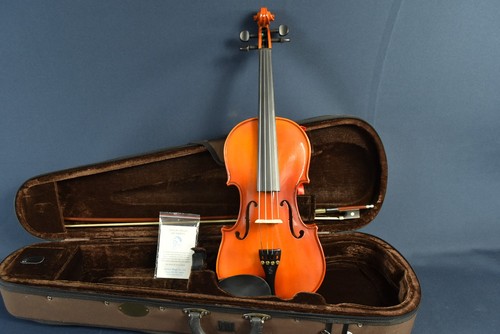 Violino studentesco stentor - violino,