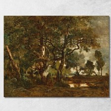 Foresta Di Fontainebleau