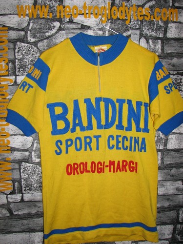 Vintage cycling jersey - vintage,
